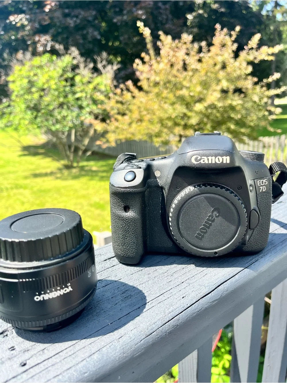 Canon Black DSLR Camera Body with Rear LCD